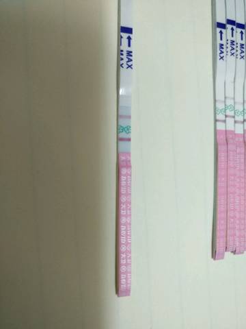 journal_insert_pic_815525536