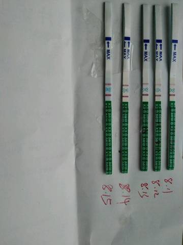 journal_insert_pic_815527696