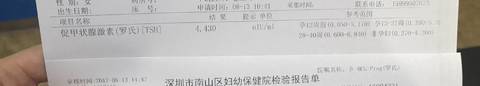 journal_insert_pic_816020278