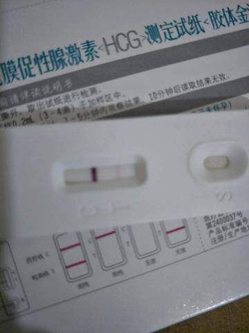 journal_insert_pic_816208594