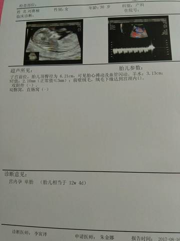 journal_insert_pic_816553066