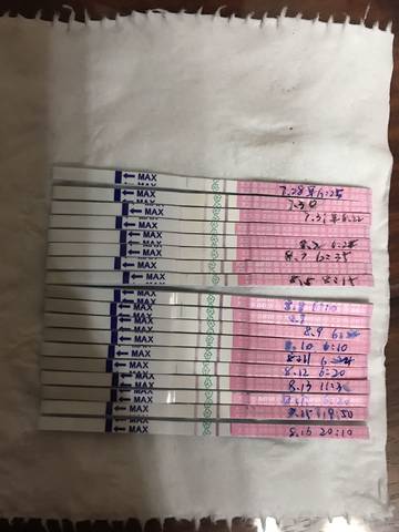 journal_insert_pic_816712929