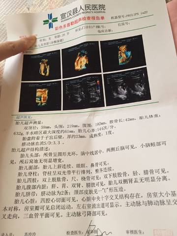 journal_insert_pic_816418784