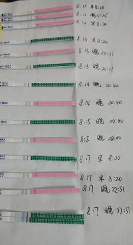 journal_insert_pic_817604973