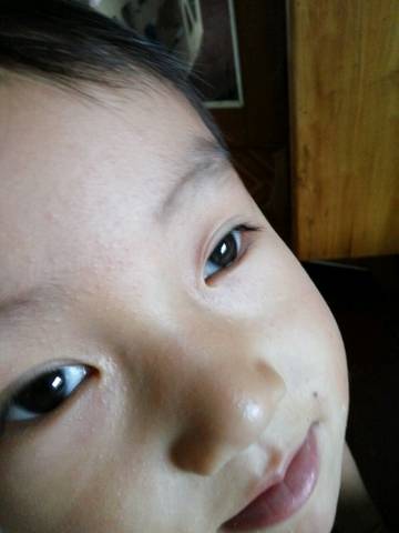 journal_insert_pic_817208522