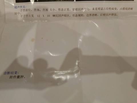 journal_insert_pic_818205763