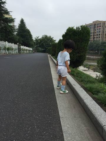 journal_insert_pic_817668541