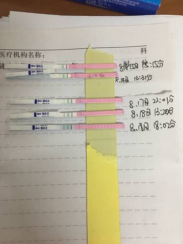 journal_insert_pic_818078529
