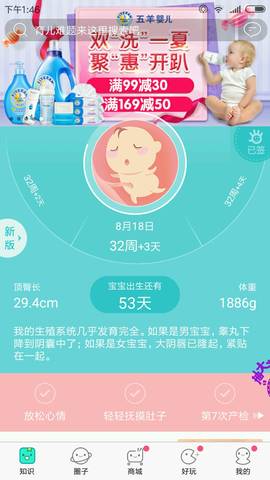 journal_insert_pic_817937802