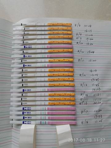 journal_insert_pic_817878048