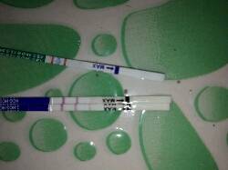 journal_insert_pic_818408825