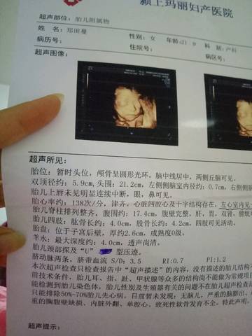 journal_insert_pic_820058573