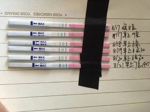 journal_insert_pic_820289853