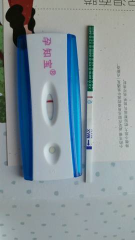 journal_insert_pic_820688595