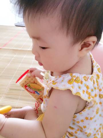 journal_insert_pic_821295820
