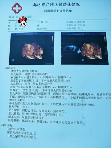 journal_insert_pic_822878512