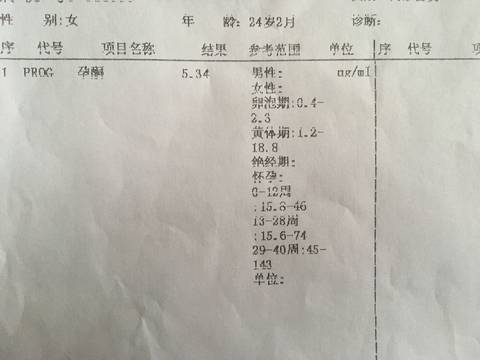 journal_insert_pic_823654926