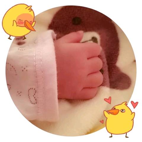 journal_insert_pic_824602137