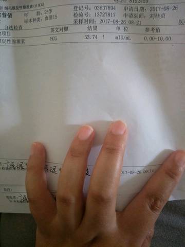 journal_insert_pic_824205004