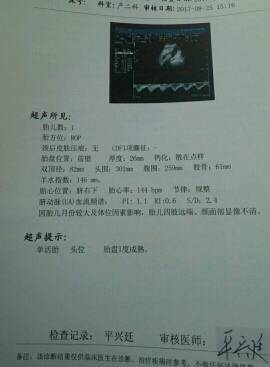 journal_insert_pic_824259198