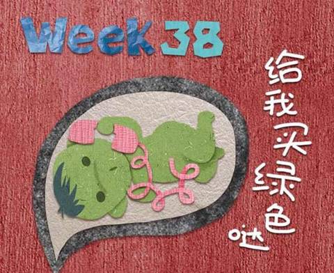 journal_insert_pic_824333024