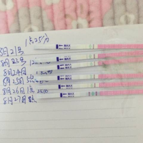 journal_insert_pic_825414970