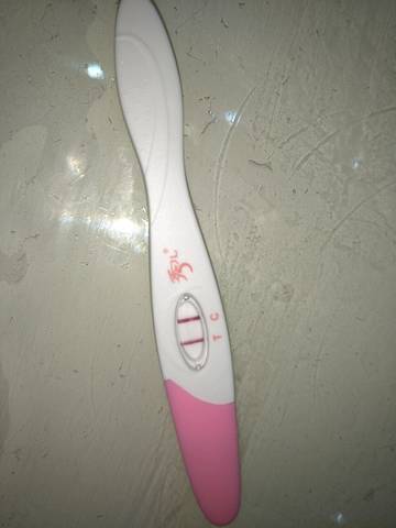 journal_insert_pic_825632546