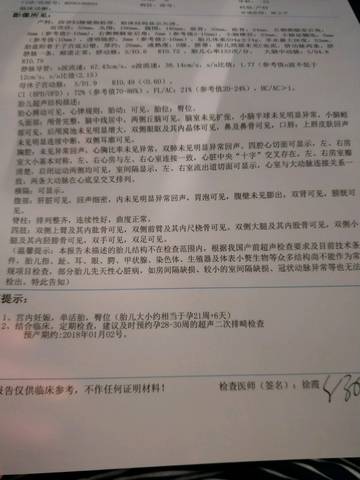 journal_insert_pic_826088846