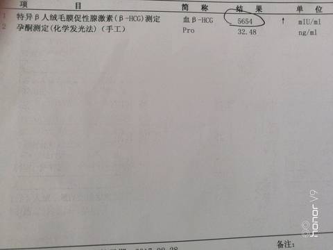 journal_insert_pic_826299292