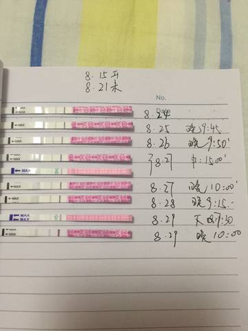journal_insert_pic_827461220