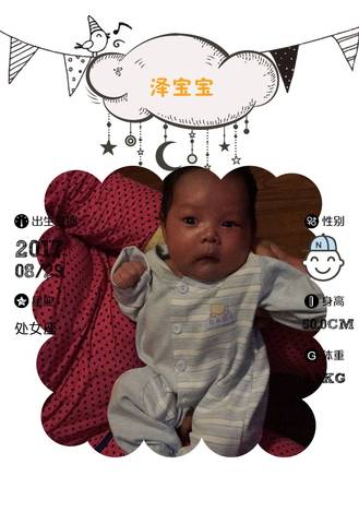 journal_insert_pic_827273594
