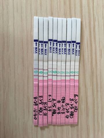 journal_insert_pic_827236870