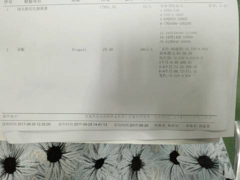 journal_insert_pic_827119076