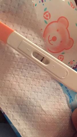 journal_insert_pic_827880258