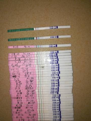 journal_insert_pic_827907829