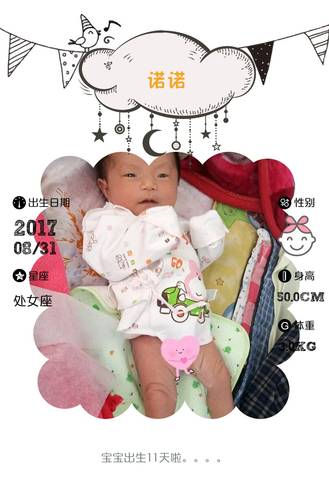 journal_insert_pic_828720210