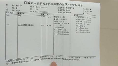journal_insert_pic_828869826