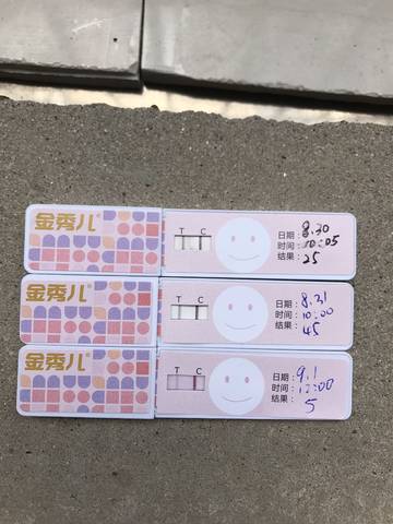 journal_insert_pic_829263821