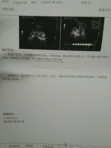 journal_insert_pic_829298003