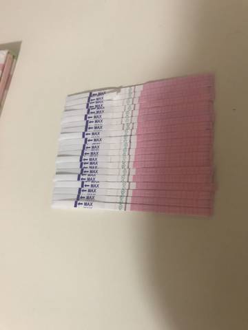 journal_insert_pic_829817664
