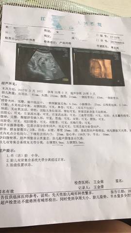journal_insert_pic_830450672
