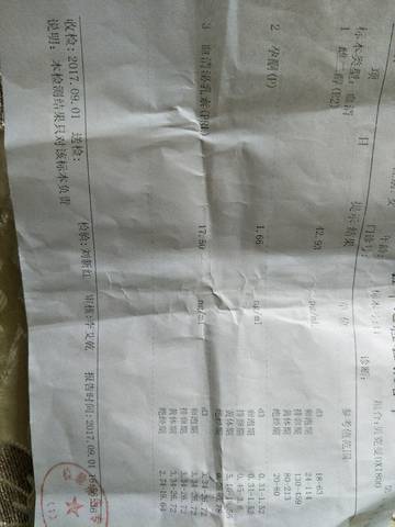 journal_insert_pic_829915932