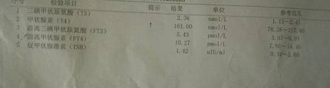 journal_insert_pic_829798465