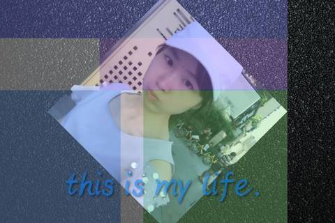journal_insert_pic_829913504