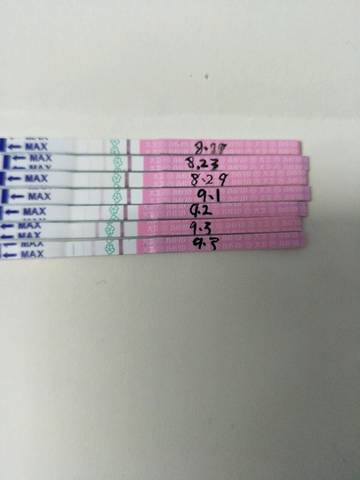 journal_insert_pic_830973948