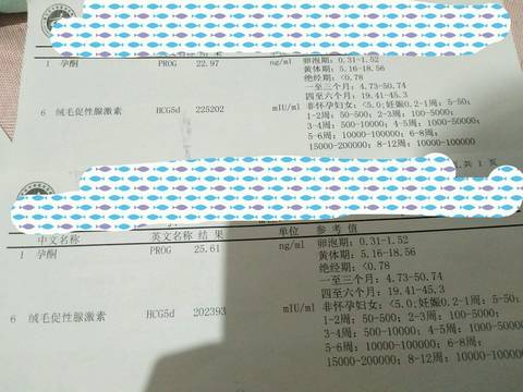 journal_insert_pic_830934911