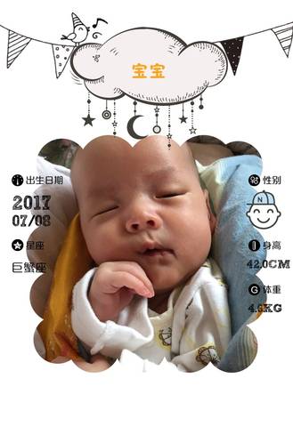 journal_insert_pic_831106371