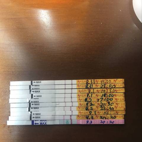 journal_insert_pic_831015225
