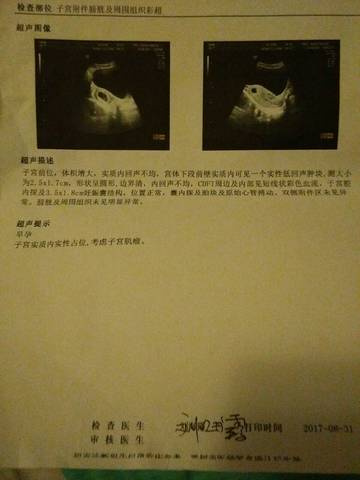 journal_insert_pic_830502874
