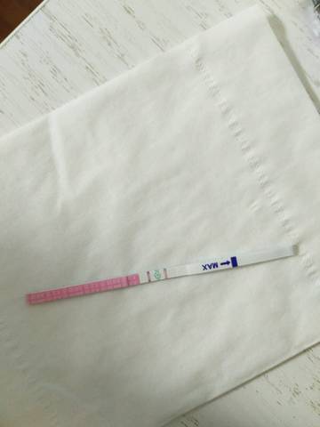journal_insert_pic_831649905